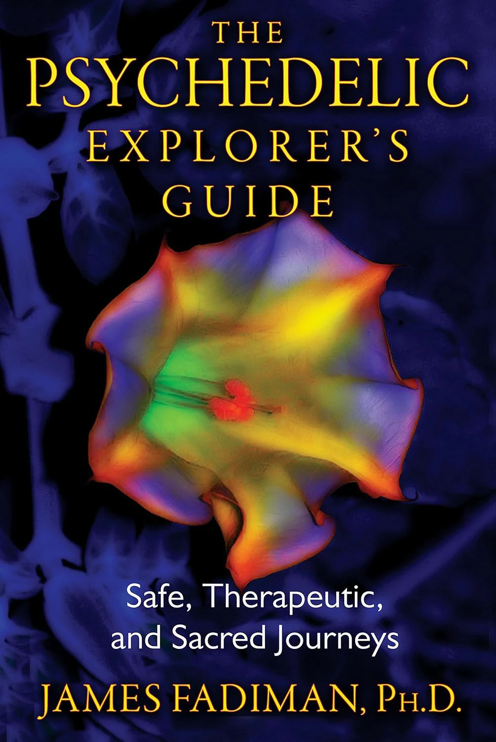 Book: The Psychedelic Explorer’s Guide