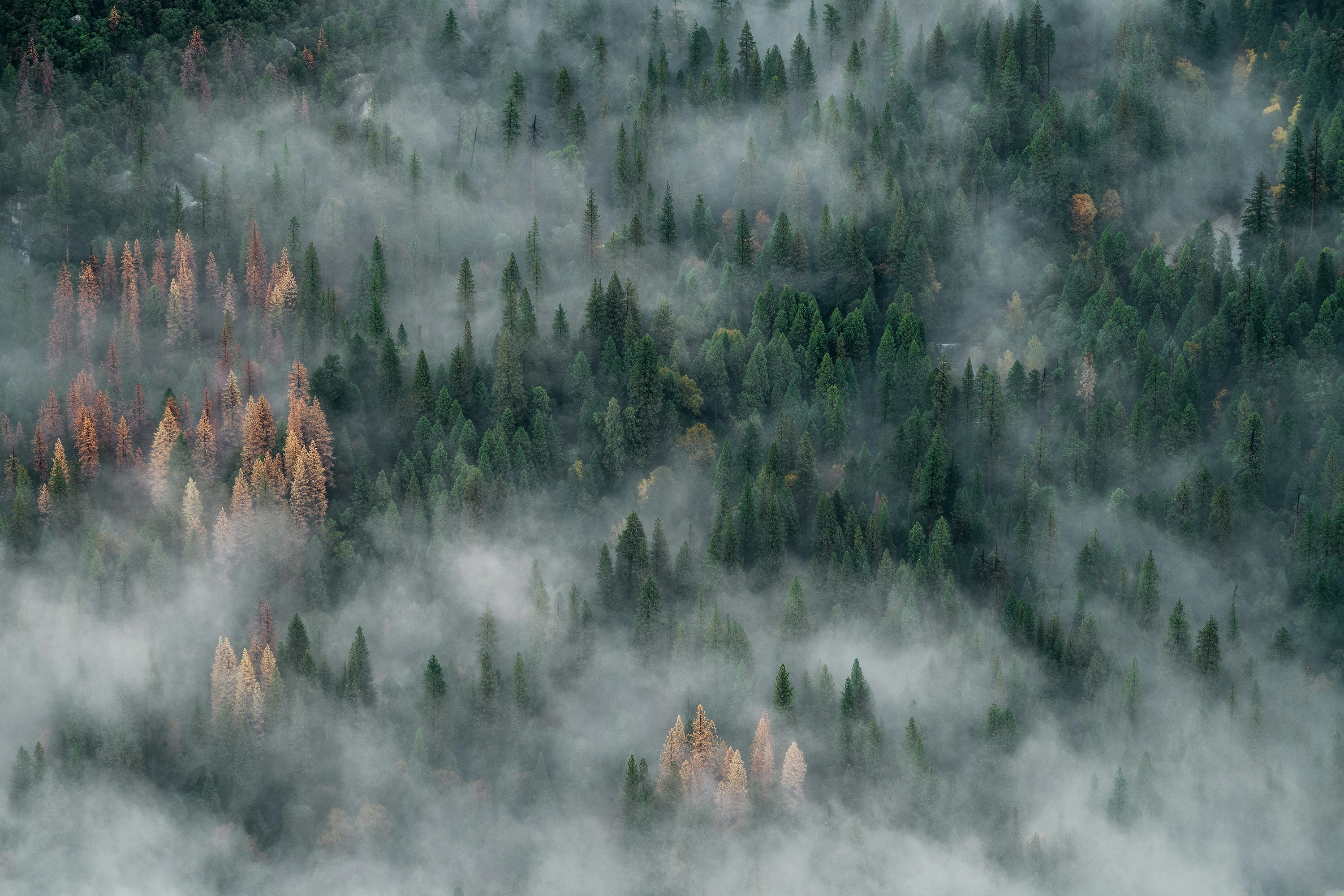Aspen, Colorado — home of the SANCTUM healing center