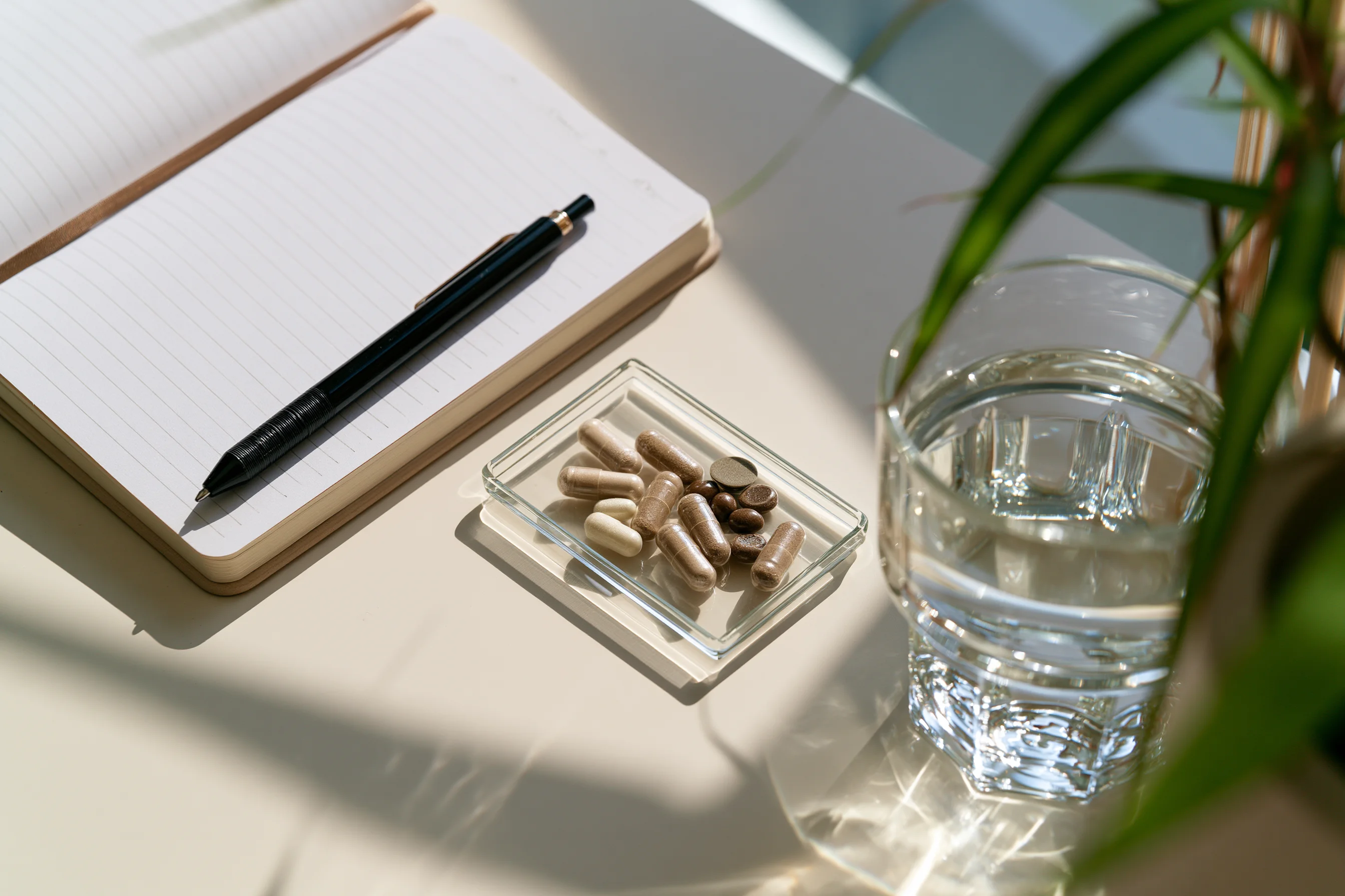 Microdosing: The Fadiman Protocol + a Beginner's Guide to Change Your Life Day by Day